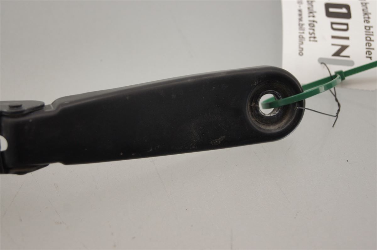 Viskerarm / Armer Frontrute – bilde 2