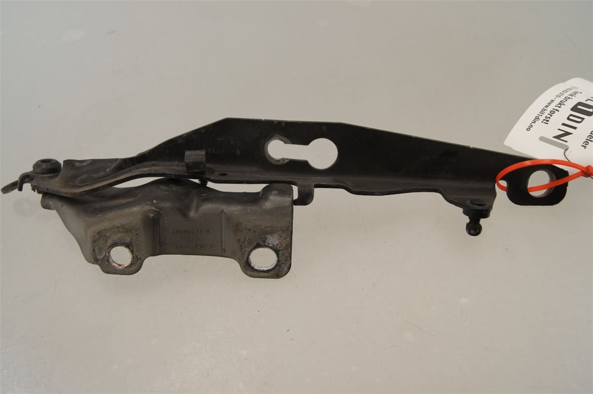 Panser Hengsel / Hengsler – bilde 1