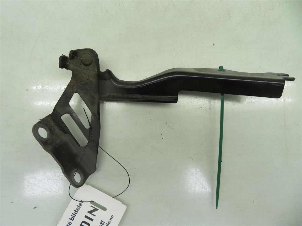 Panser Hengsel / Hengsler – bilde 1