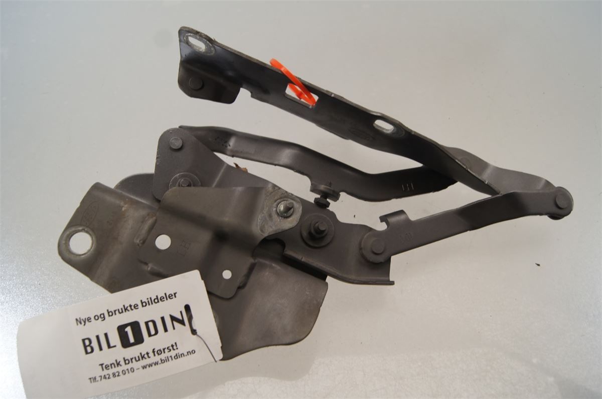 Panser Hengsel / Hengsler – bilde 2