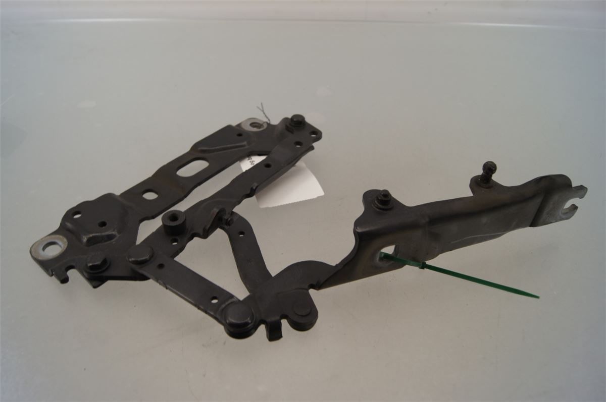 Panser Hengsel / Hengsler – bilde 2