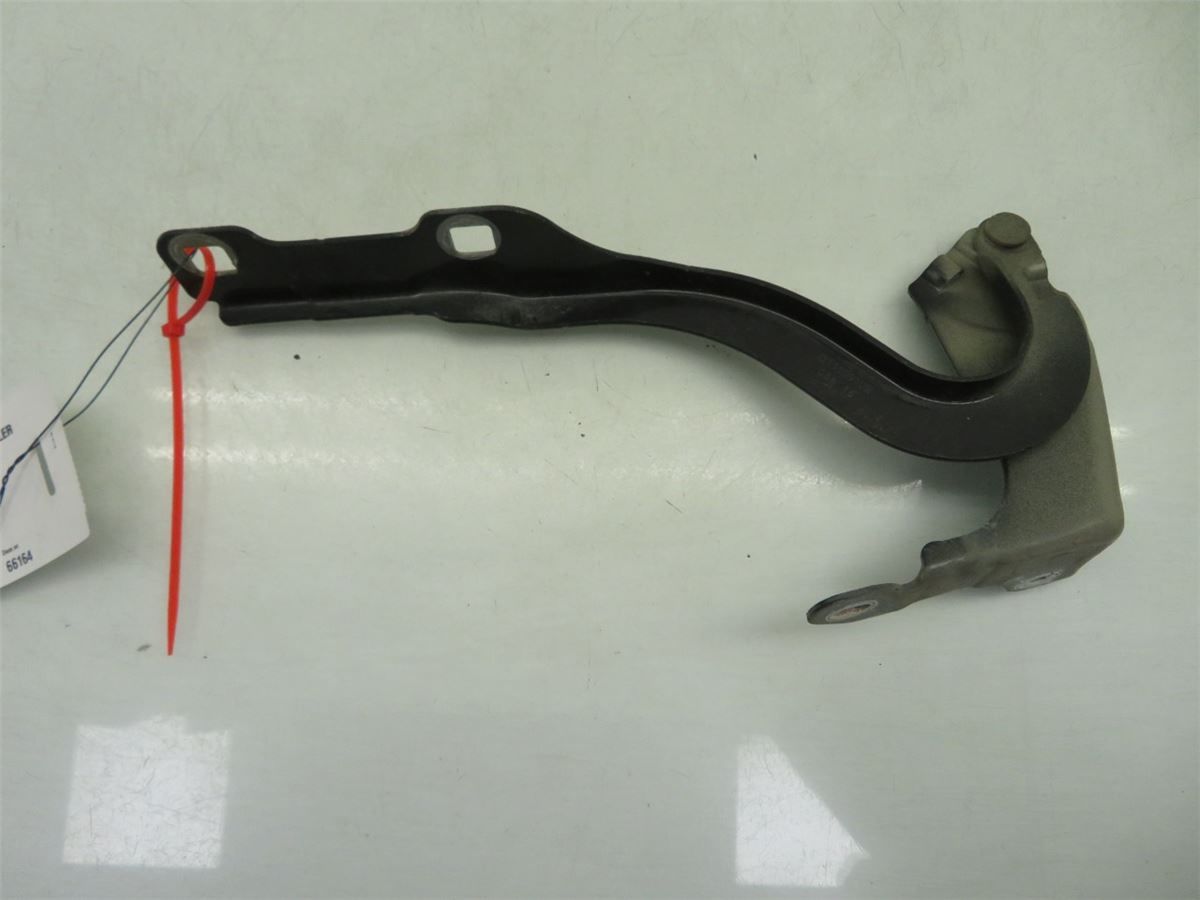 Panser Hengsel / Hengsler – bilde 2