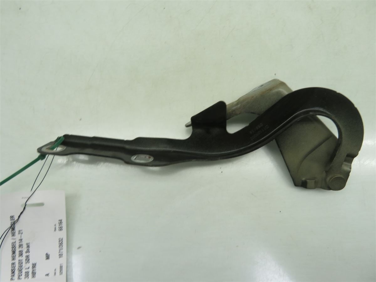 Panser Hengsel / Hengsler – bilde 1