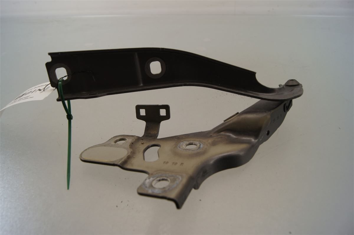 Panser Hengsel / Hengsler – bilde 1