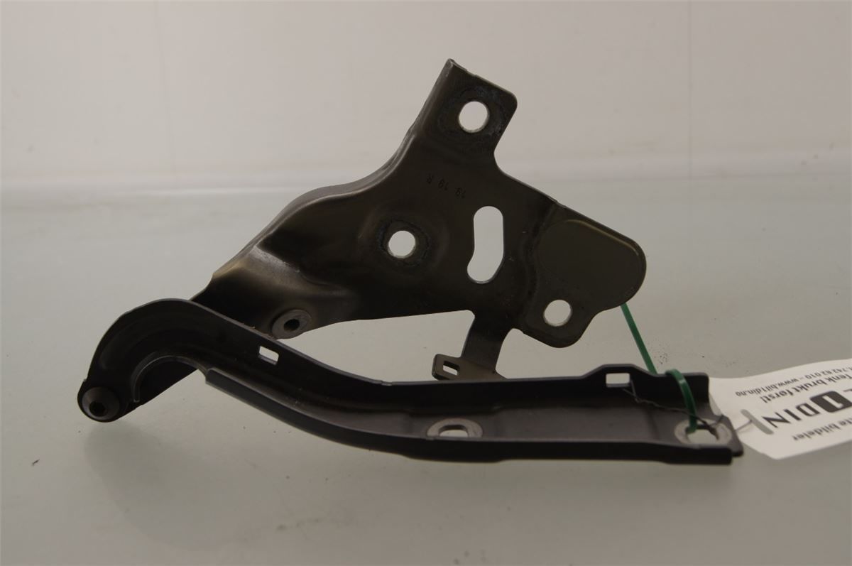 Panser Hengsel / Hengsler – bilde 2