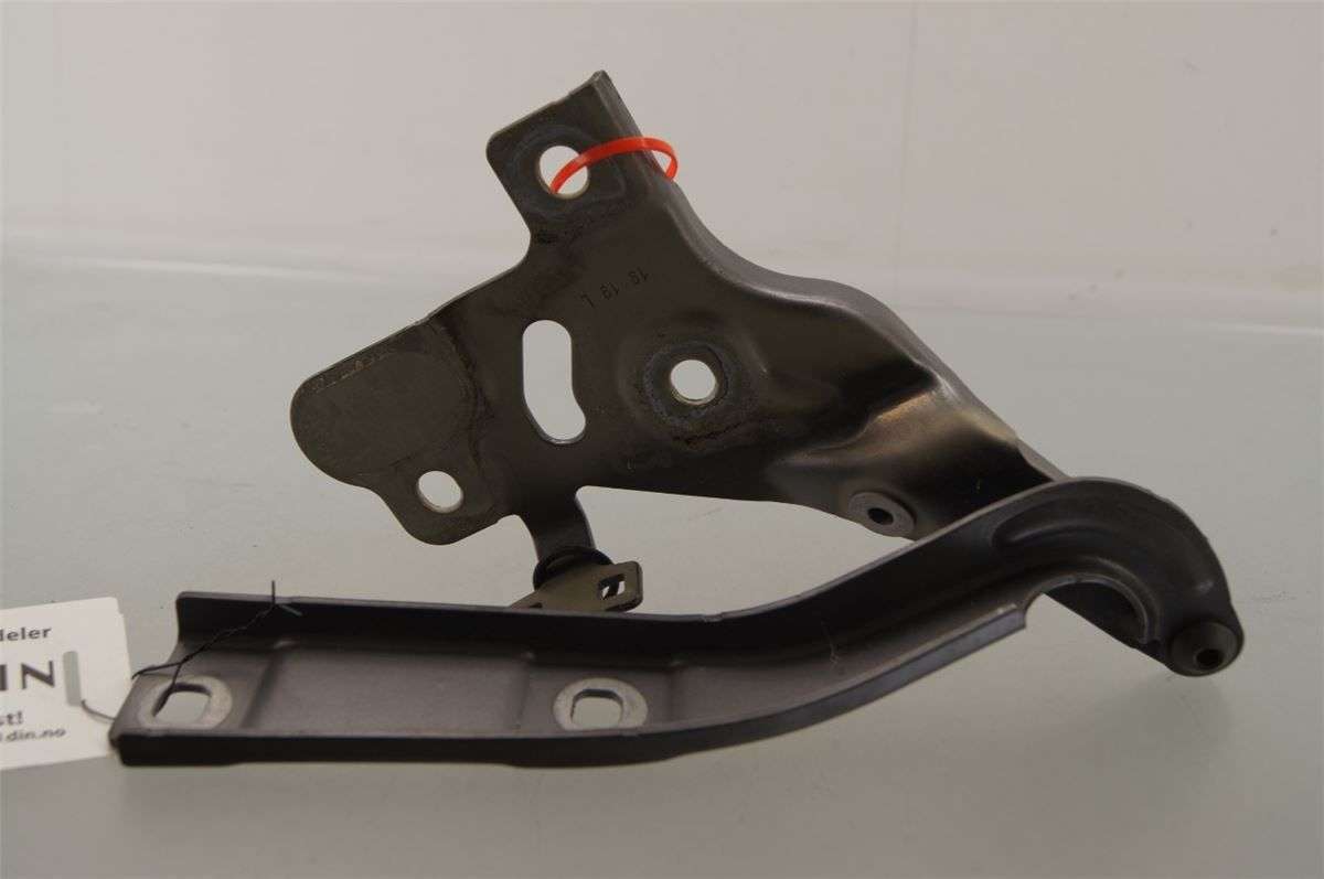 Panser Hengsel / Hengsler – bilde 1