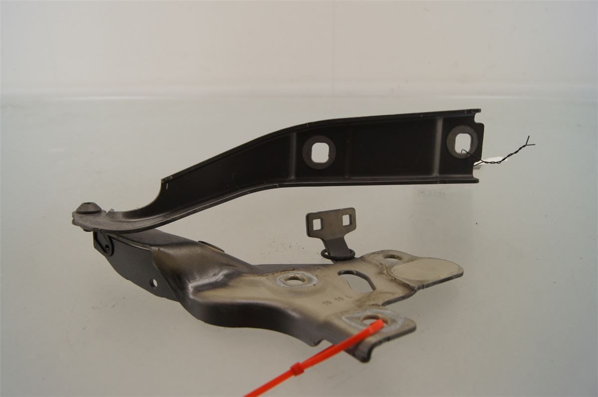 Panser Hengsel / Hengsler – bilde 3