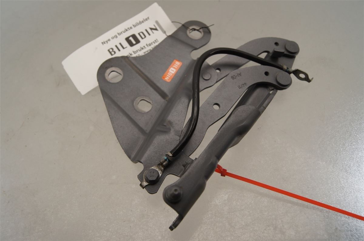 Panser Hengsel / Hengsler – bilde 1