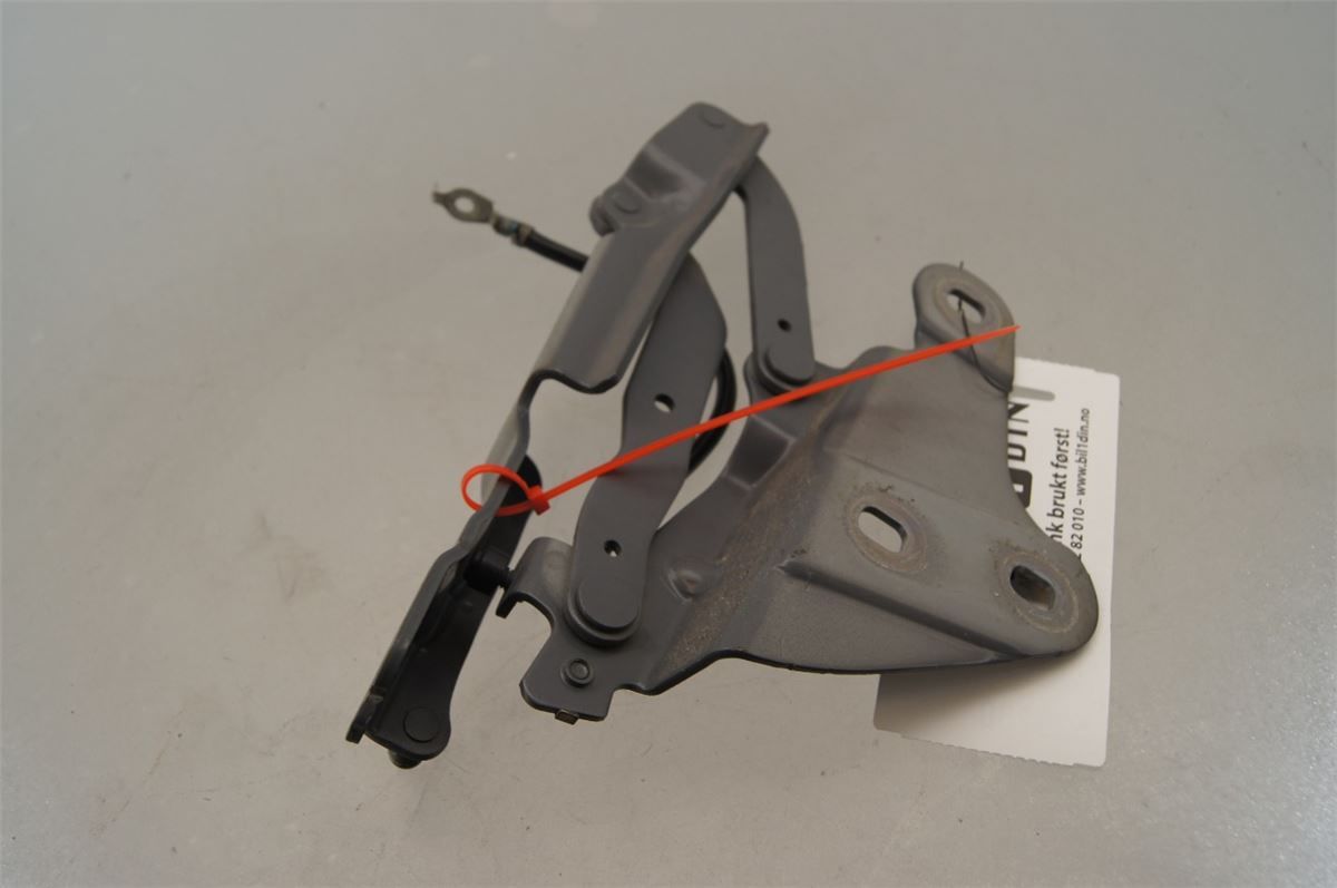Panser Hengsel / Hengsler – bilde 2