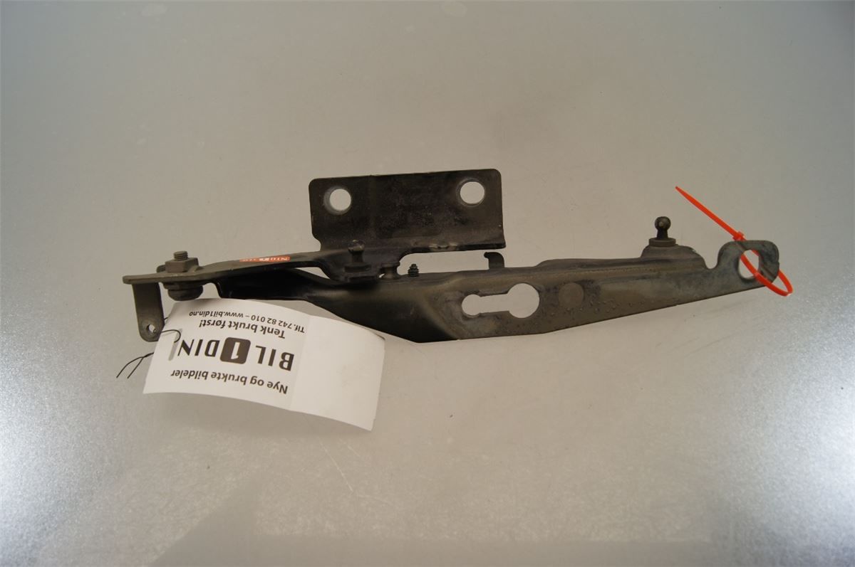 Panser Hengsel / Hengsler – bilde 1