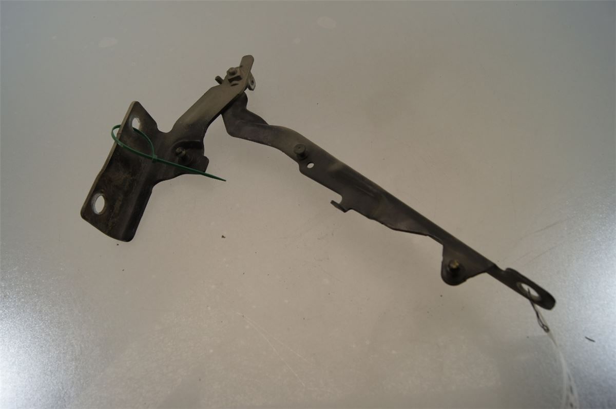 Panser Hengsel / Hengsler – bilde 2