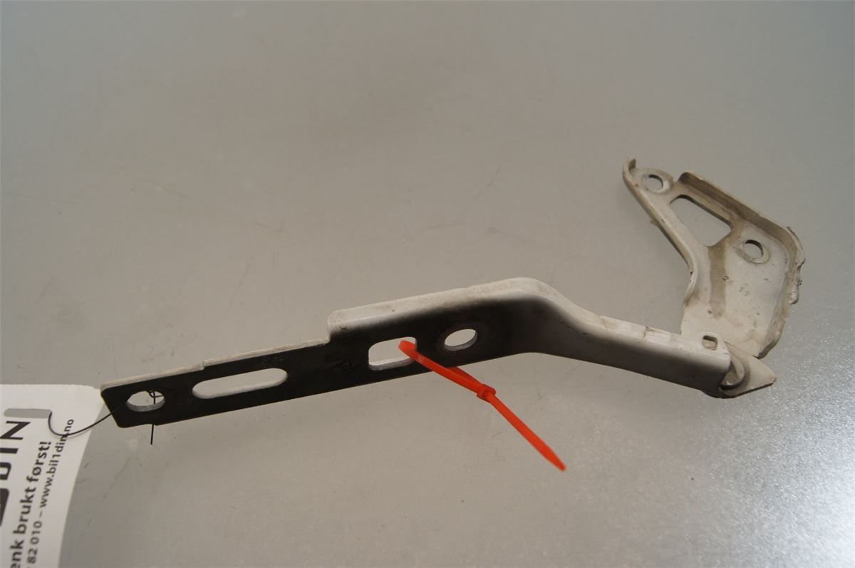 Panser Hengsel / Hengsler – bilde 1