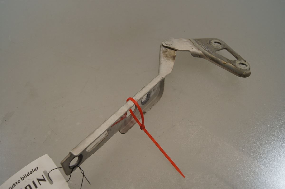Panser Hengsel / Hengsler – bilde 2