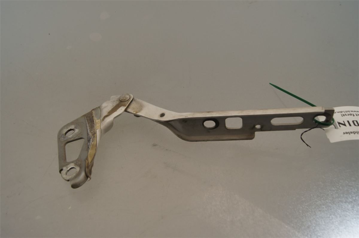 Panser Hengsel / Hengsler – bilde 2