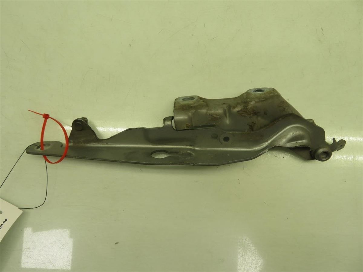 Panser Hengsel / Hengsler – bilde 1