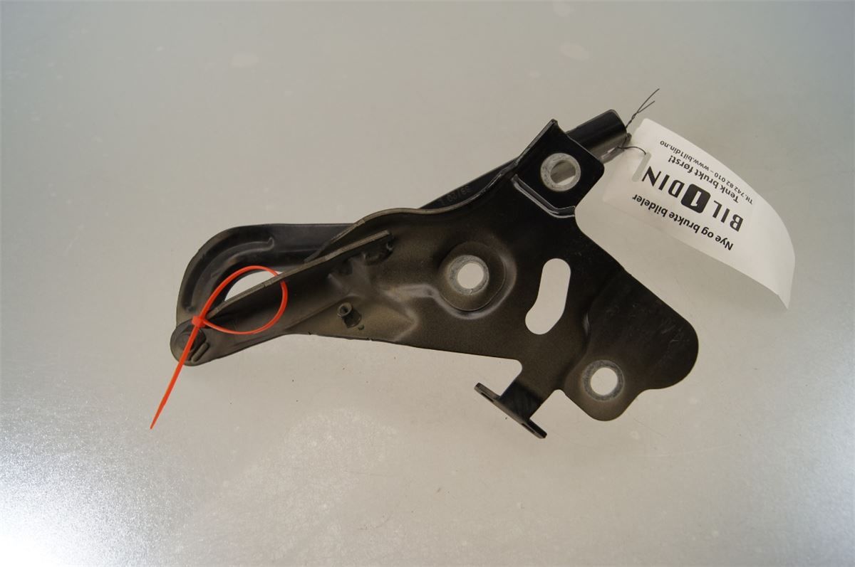 Panser Hengsel / Hengsler – bilde 1