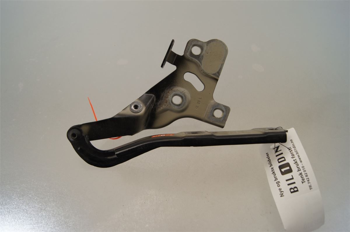 Panser Hengsel / Hengsler – bilde 2