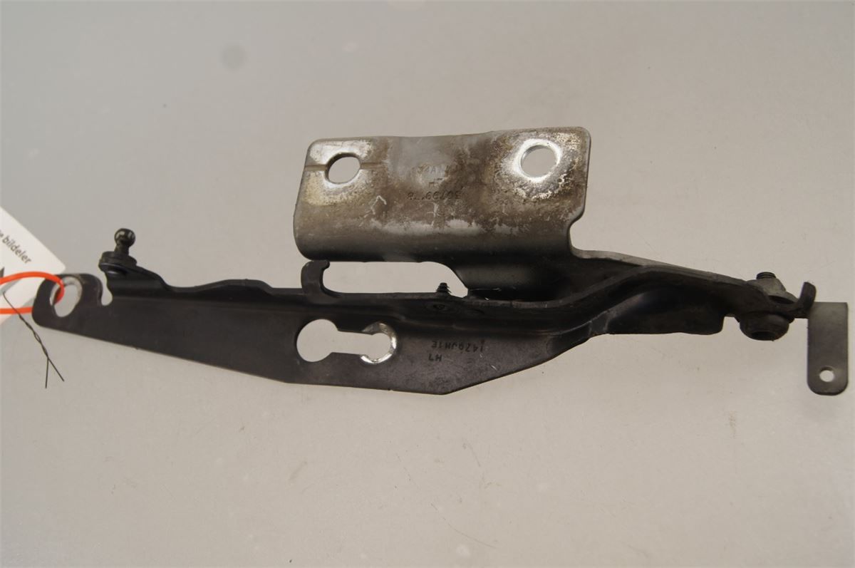 Panser Hengsel / Hengsler – bilde 1