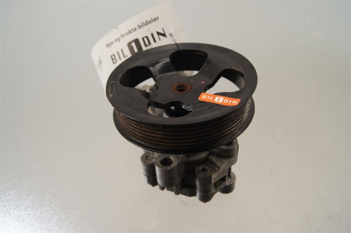 Servo Pumpe – bilde 1