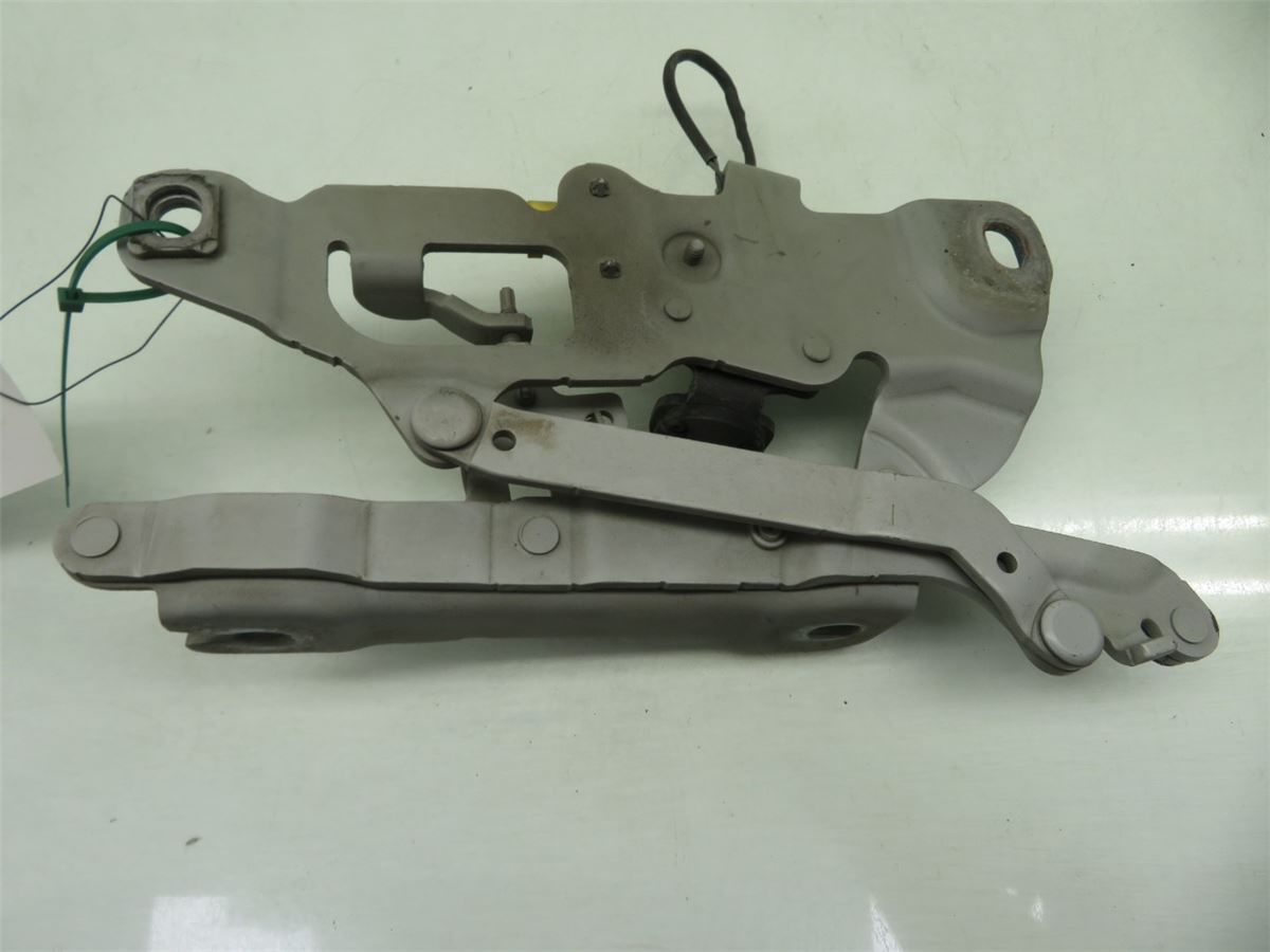 Panser Hengsel / Hengsler – bilde 2