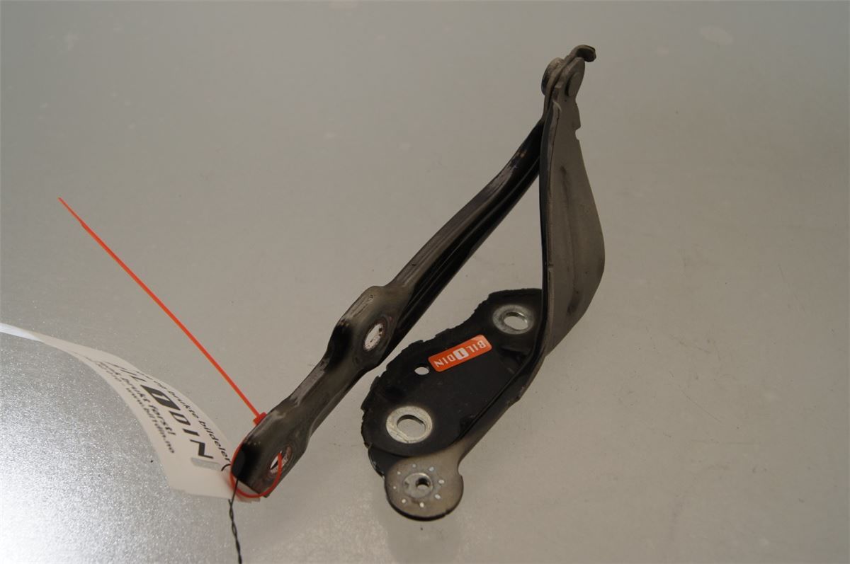 Panser Hengsel / Hengsler – bilde 1