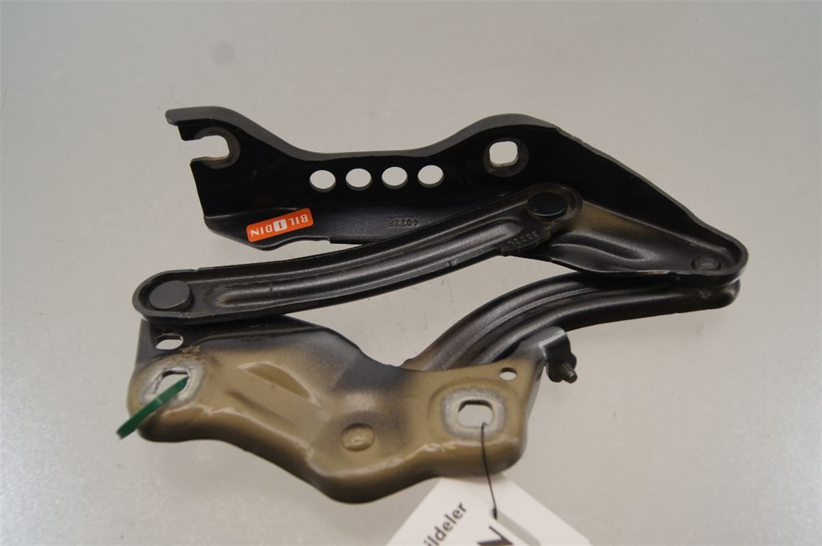 Panser Hengsel / Hengsler – bilde 1