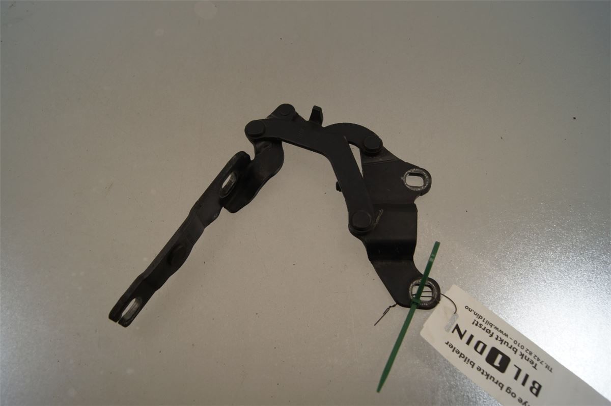 Panser Hengsel / Hengsler – bilde 6