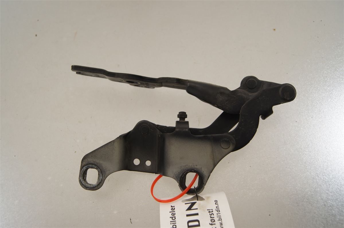 Panser Hengsel / Hengsler – bilde 5