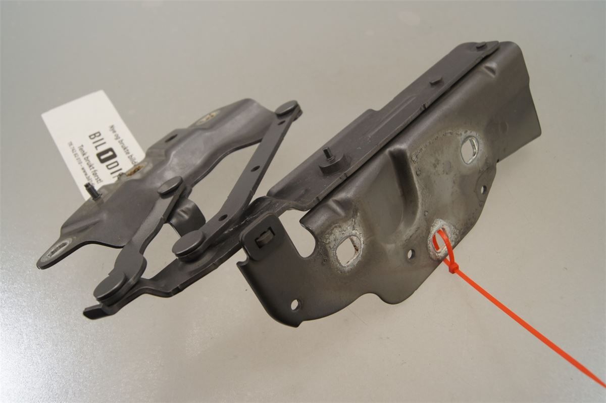 Panser Hengsel / Hengsler – bilde 2