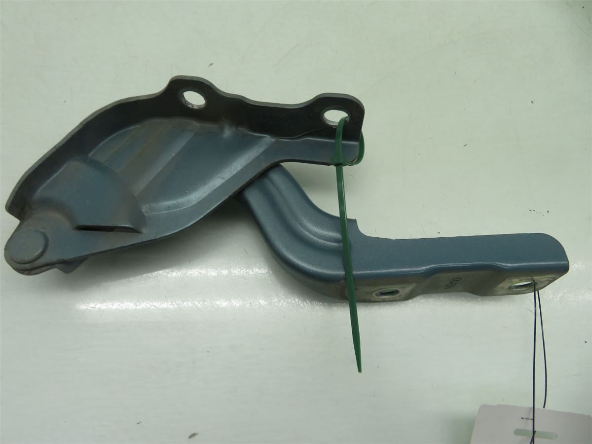 Panser Hengsel / Hengsler – bilde 1