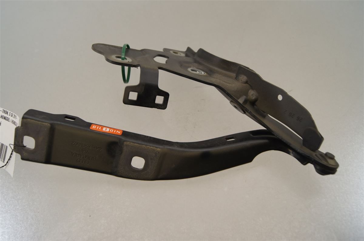 Panser Hengsel / Hengsler – bilde 1