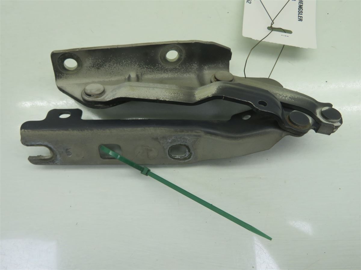 Panser Hengsel / Hengsler – bilde 1