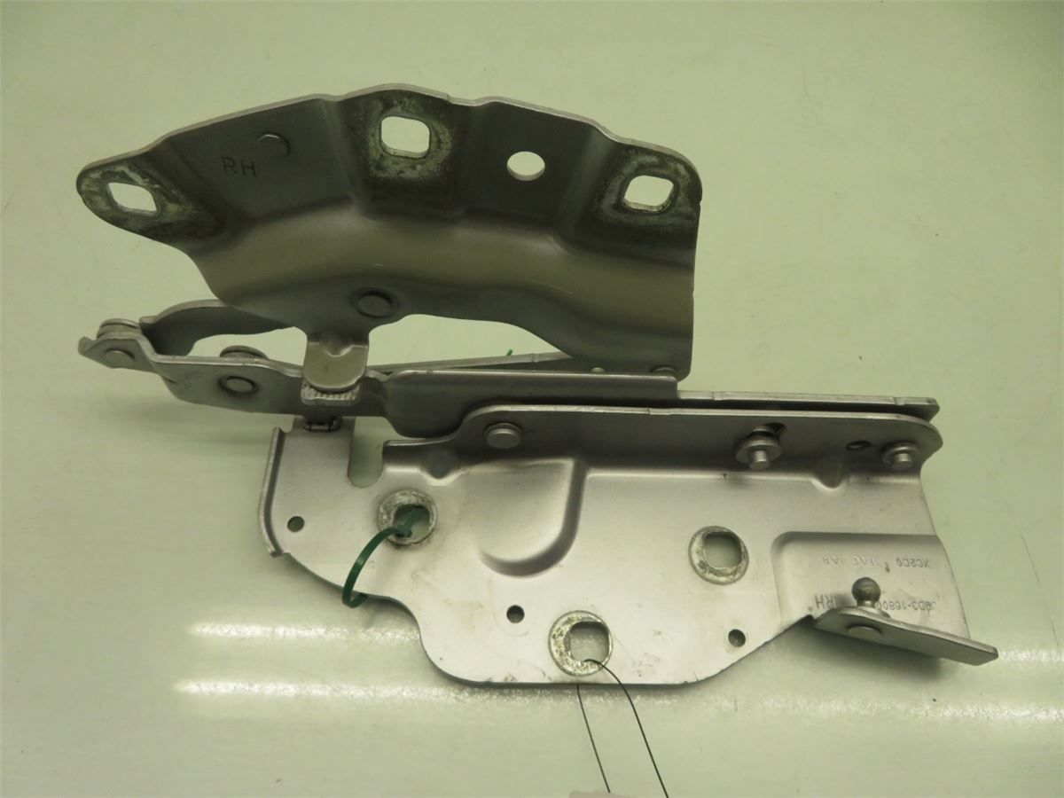 Panser Hengsel / Hengsler – bilde 1