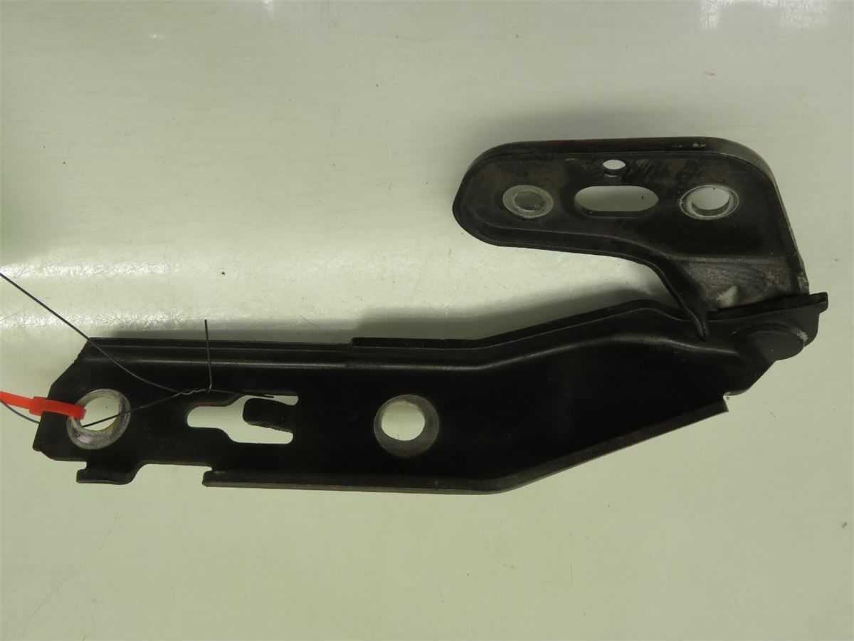 Panser Hengsel / Hengsler – bilde 2
