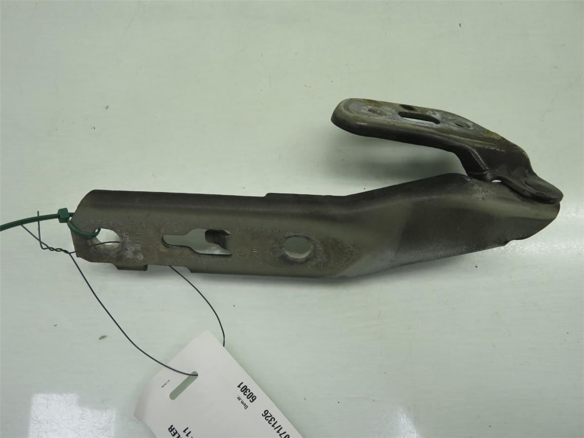 Panser Hengsel / Hengsler – bilde 2