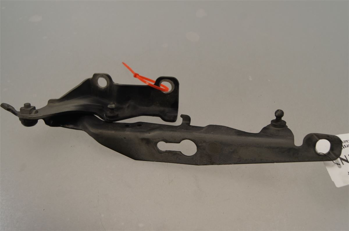 Panser Hengsel / Hengsler – bilde 2