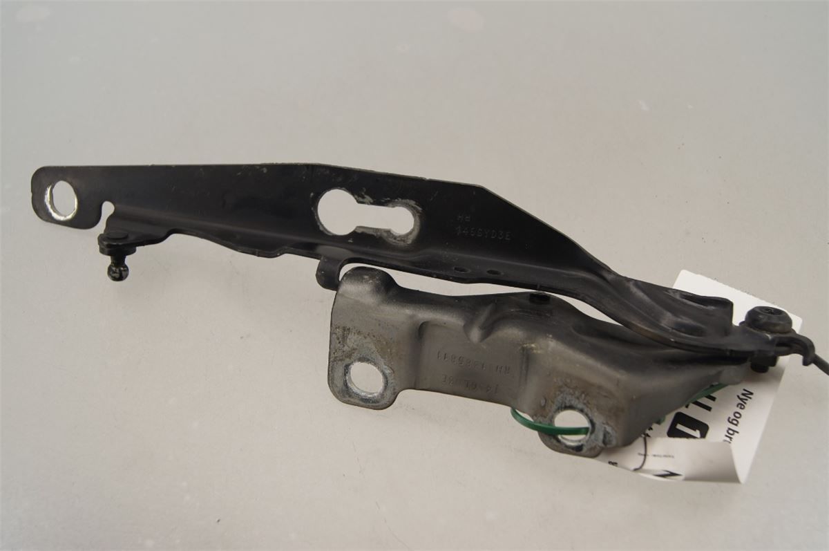 Panser Hengsel / Hengsler – bilde 2