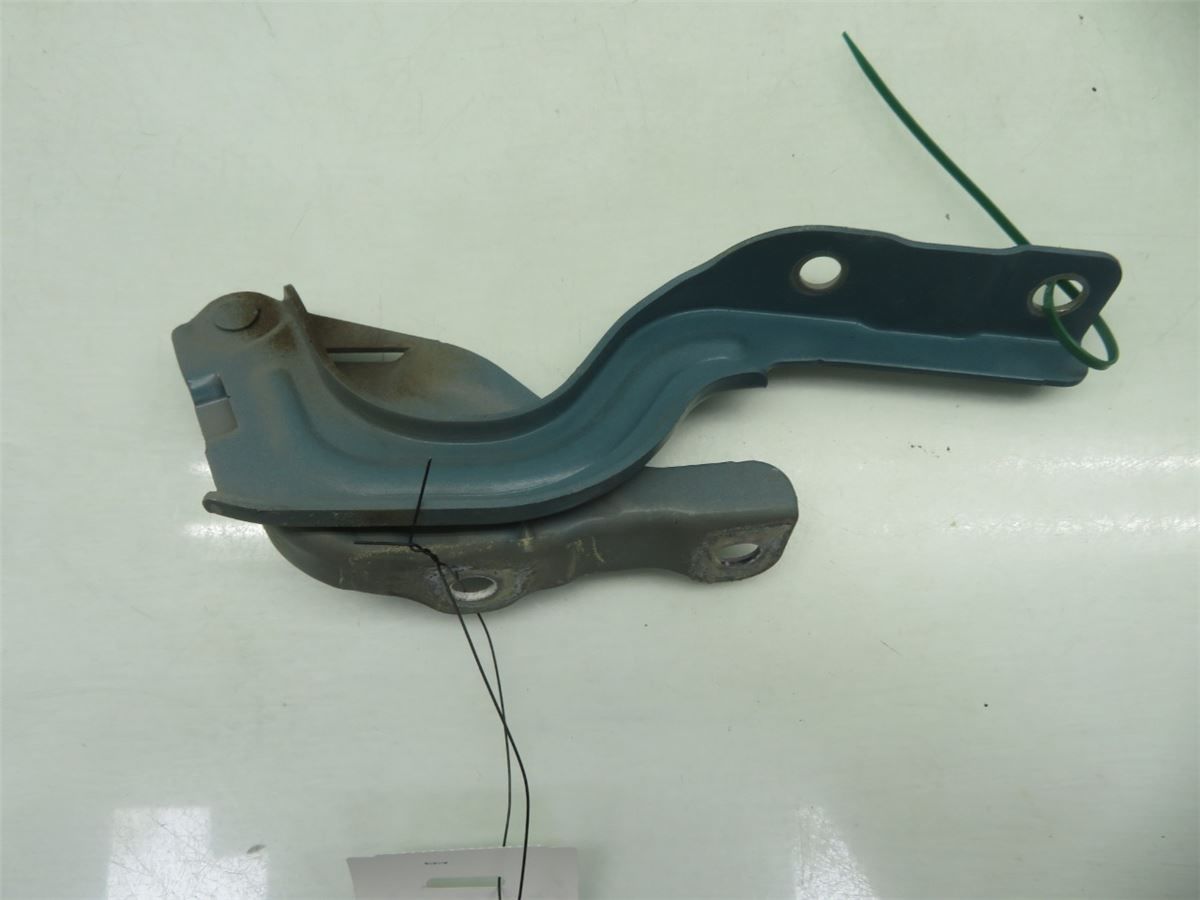Panser Hengsel / Hengsler – bilde 1