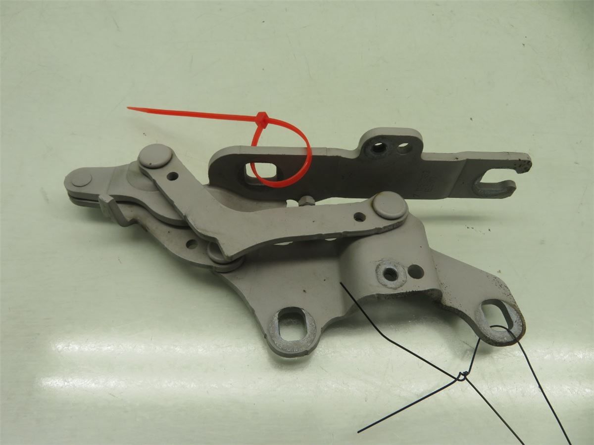 Panser Hengsel / Hengsler – bilde 1