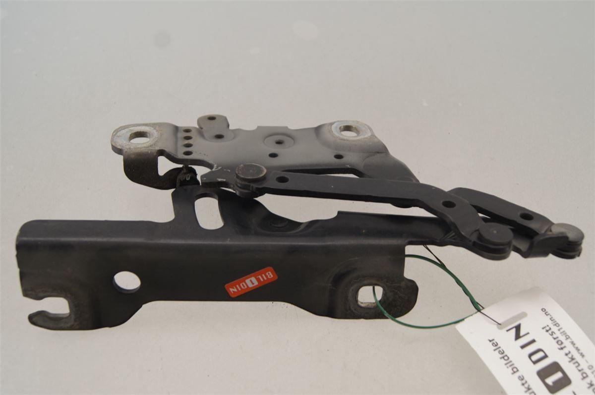 Panser Hengsel / Hengsler – bilde 3