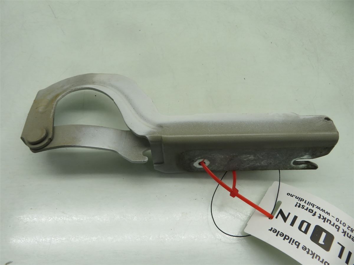 Panser Hengsel / Hengsler – bilde 3