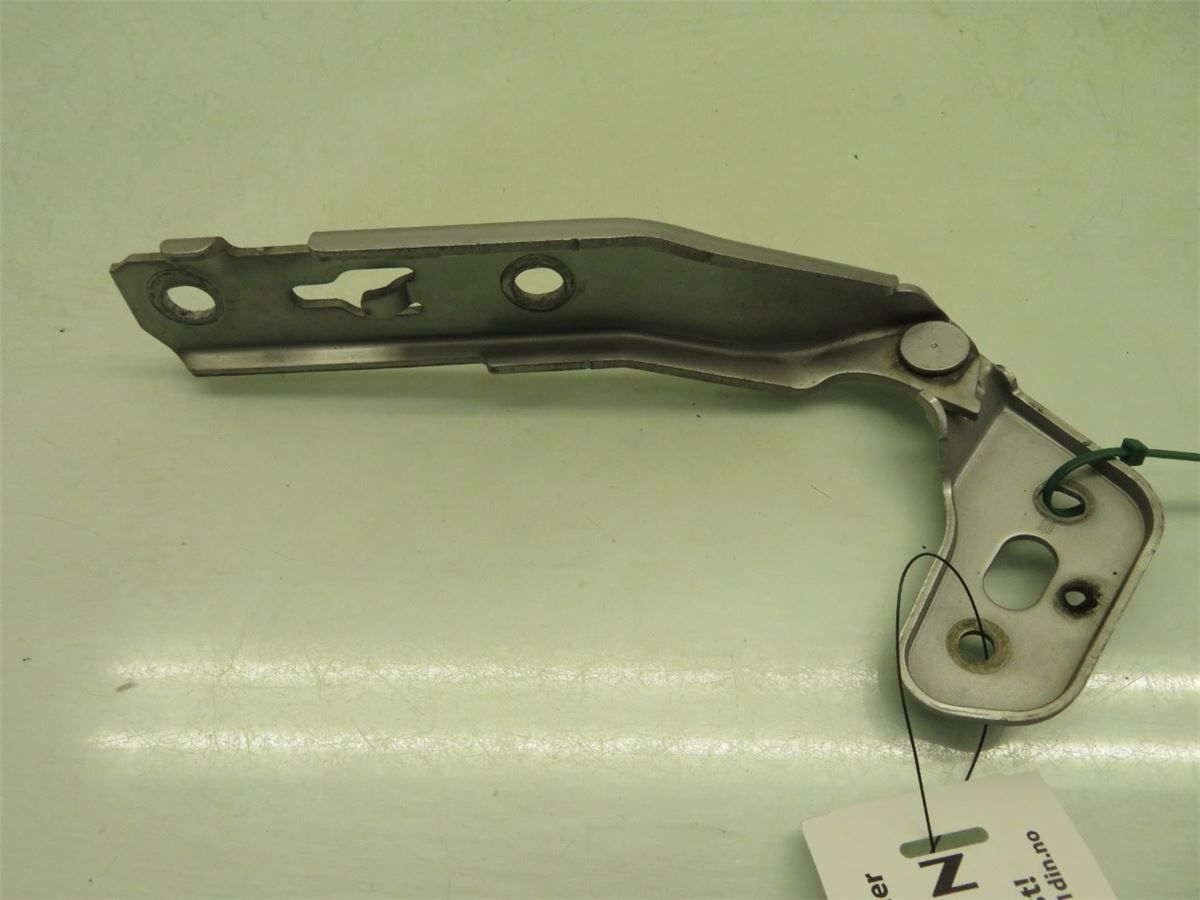 Panser Hengsel / Hengsler – bilde 3