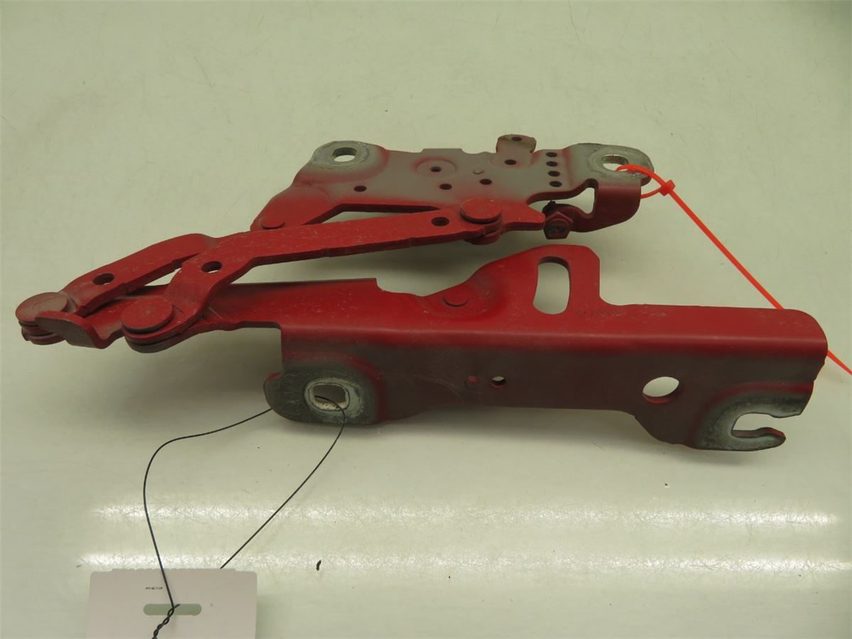 Panser Hengsel / Hengsler – bilde 2