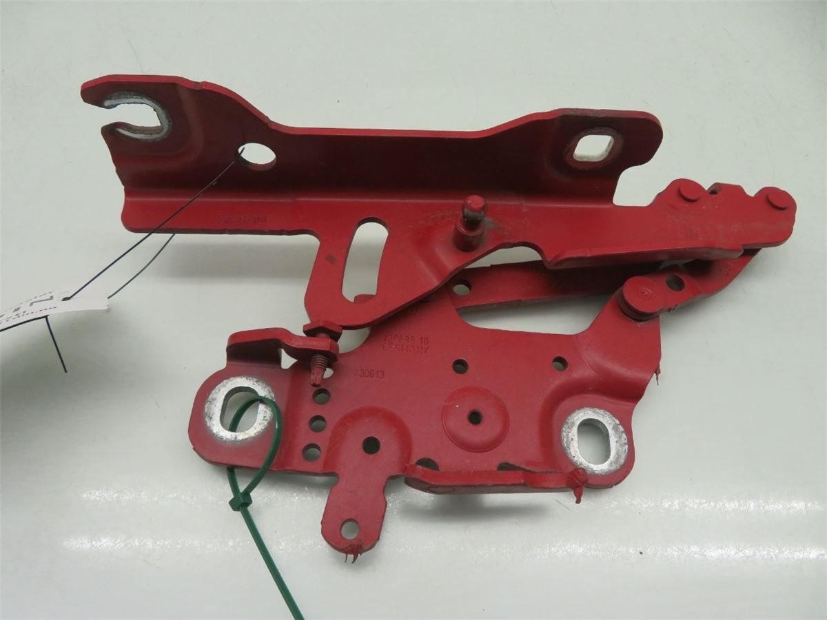 Panser Hengsel / Hengsler – bilde 2