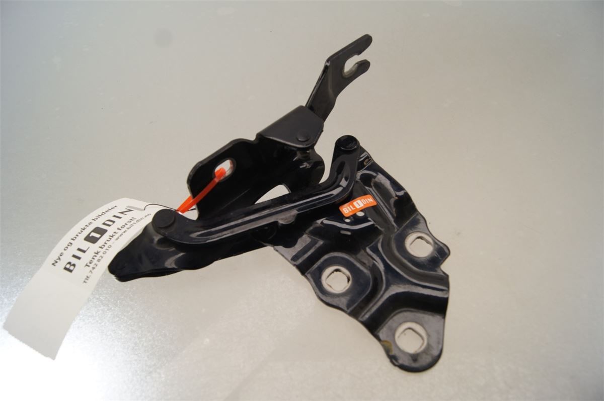 Panser Hengsel / Hengsler – bilde 1
