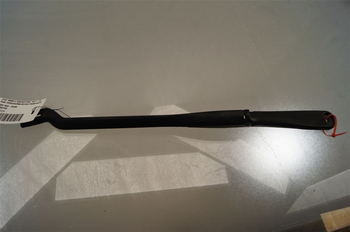 Viskerarm / Armer Frontrute – bilde 1