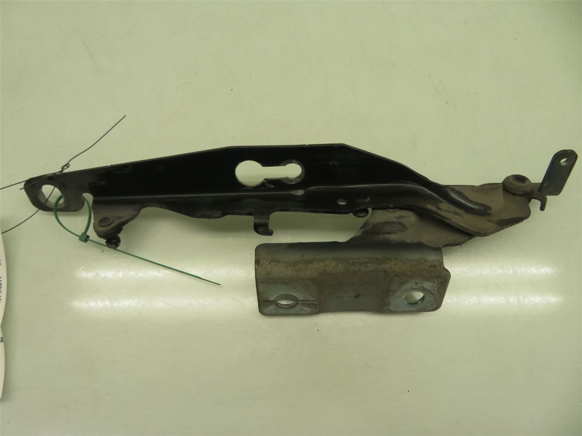 Panser Hengsel / Hengsler – bilde 2