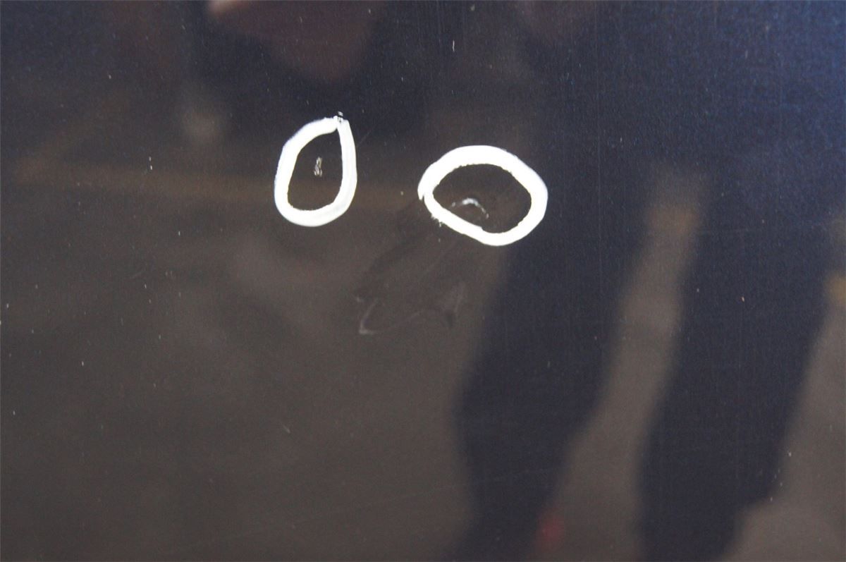Panser – bilde 3