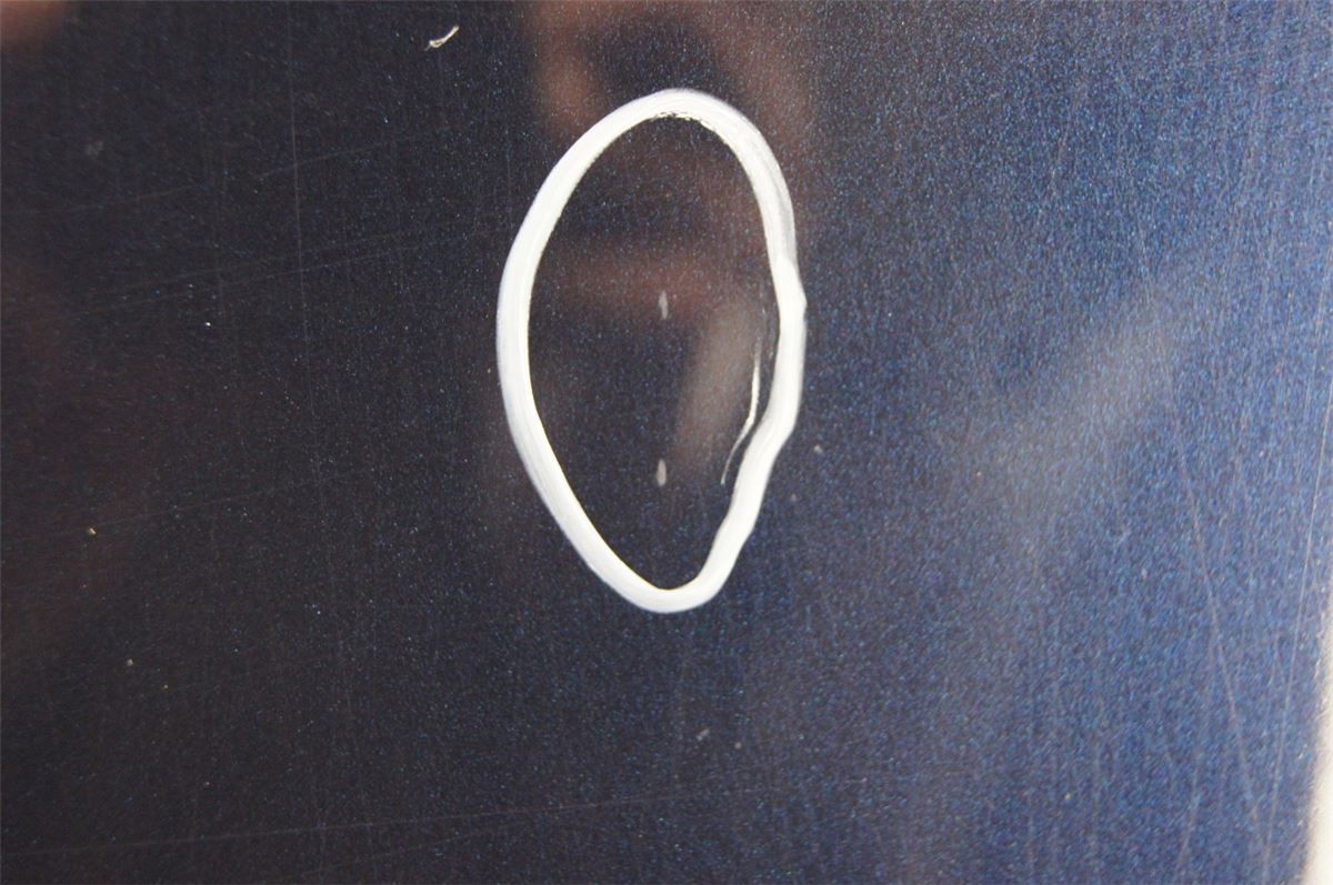 Panser – bilde 4