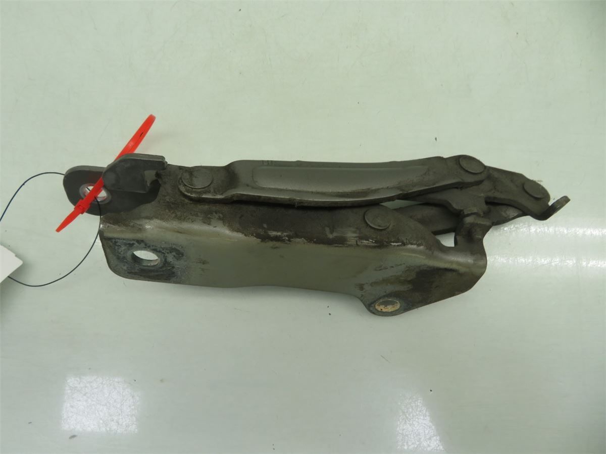 Panser Hengsel / Hengsler – bilde 1